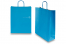 Tragetaschen aus Papier mit gedrehten Papierkordeln - blau, 320 x 120 x 410 mm, 100 Gramm | PIT Packaging.at | Briefumschlaegebestellen
