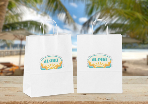  Tragetaschen aus Papier mit Kordelhenkel | PIT Packaging.at | Briefumschlaegebestellen