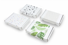 Maxibriefkartons mit Aufdruck | PIT Packaging.at | Briefumschlaegebestellen