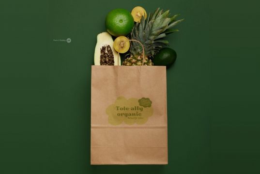  Tragetaschen aus Papier mit Kordelhenkel | PIT Packaging.at | Briefumschlaegebestellen