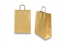 Tragetaschen aus Papier mit gedrehten Papierkordeln - gold, 260 x 120 x 350 mm, 90 Gramm | PIT Packaging.at | Briefumschlaegebestellen