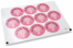 Kommunion-Verschlusssiegel - mi primera comunión rosa Kreuz | PIT Packaging.at | Briefumschlaegebestellen