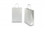 Tragetaschen aus Papier mit gedrehten Papierkordeln - silber, 220 x 100 x 310 mm, 90 Gramm | PIT Packaging.at | Briefumschlaegebestellen