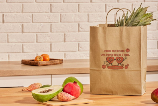  Tragetaschen aus Papier mit Kordelhenkel | PIT Packaging.at | Briefumschlaegebestellen
